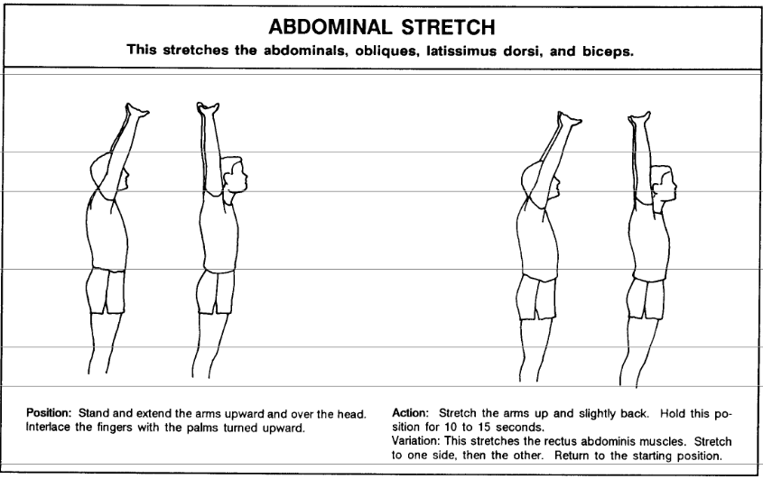 Abdominals